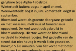 Friese Bloemkool