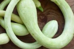 Muskaatcourgette