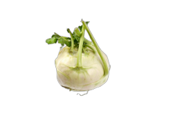 Koolrabi