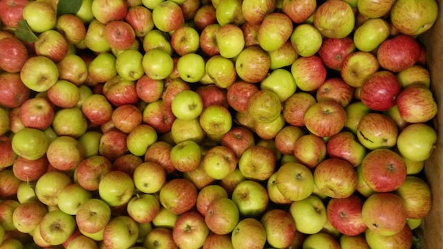 Appels