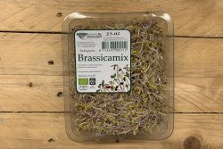 Brassicamix - Peuleschil