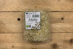 Alfalfa - Peuleschil