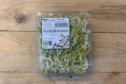 Radijskiemen  Peuleschil