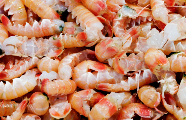 Langoustinestaartjes  Goede Vissers