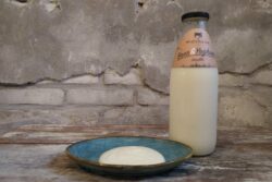 Vanille Yoghurt  Westerleane