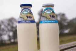 Melk Drentse Aa