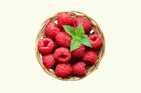 Frambozen Biologisch