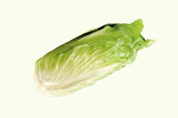 Groenlof