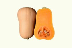 Butternut Pompoen