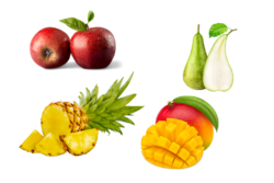 Fruittas