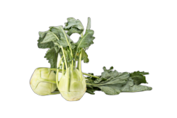 koolrabi