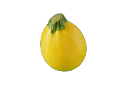 Bolcourgette Geel
