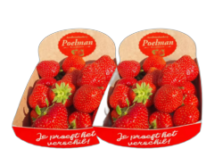 Aardbeien2