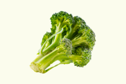 Broccoli