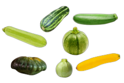 Courgettemix  Kg