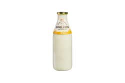 Kefir Ommelanden