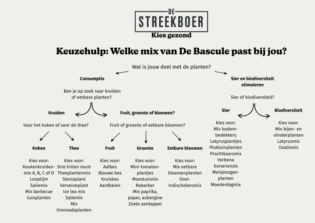 Keuzehulp De Bascule
