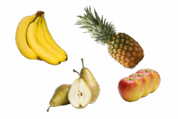Fruittas