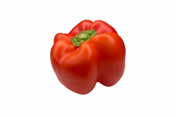 Rode paprika b-keuze (bio)