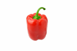 Rode paprika (bio)