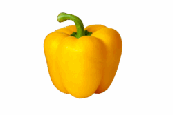 Gele paprika (bio)