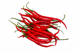 Rodepeperpond