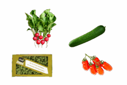 Snackbox