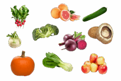 Streekboerbox