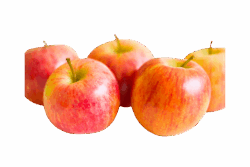 Notaris