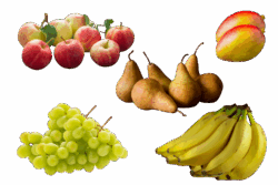 Maxi Fruittas