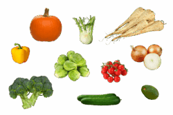 Streenboerbox