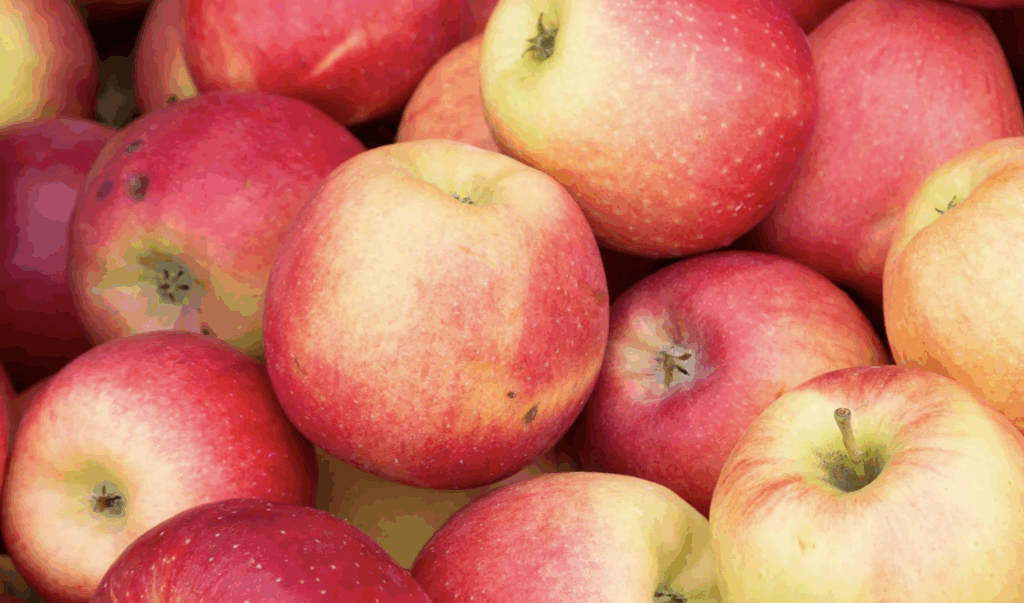 Schermafbeelding  Om ..