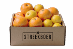 Mix Sinaasappels Mandarijnen