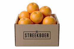 Sinaasappelbox Kg