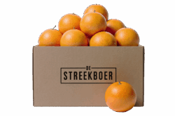 Sinaasappelbox Kg