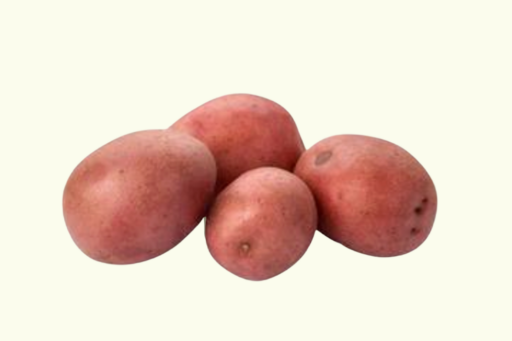 Ontwerp Zonder Titel ()